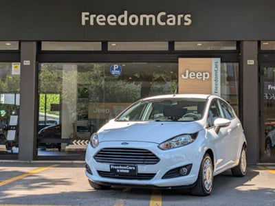 Ford Fiesta 1.4 5 porte Bz.- GPL Titanium usata