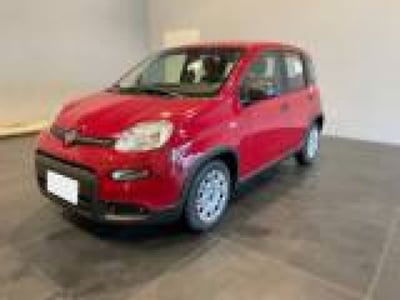 Fiat Panda 1.0 firefly hybrid s&s 70cv 5p.ti nuova