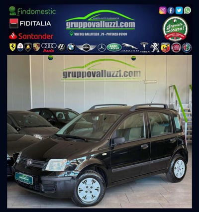 Fiat Panda 1.2 Dynamic usata
