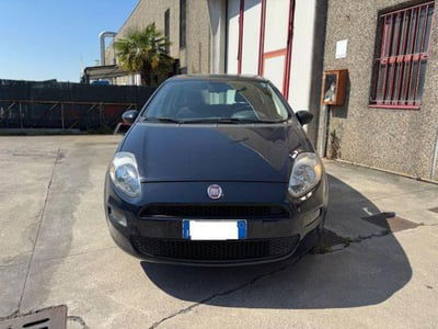 Fiat Punto 1.4 8V 5 porte Easypower Street usata