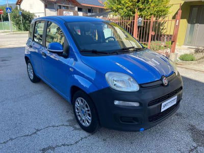 Fiat Panda 1.2 Pandazzurri usata