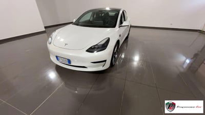 Tesla Model 3 Model 3 Standard RWD Plus usata