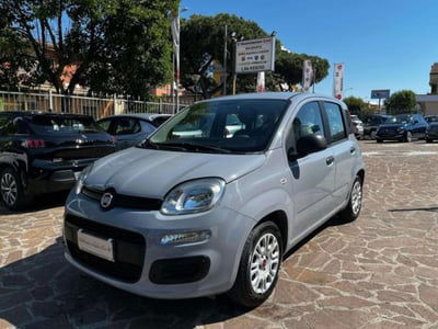 Fiat Panda 1.2 EasyPower Easy usata