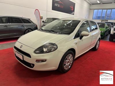 Fiat Punto 1.3 MJT II 75 CV 5 porte Pop usata