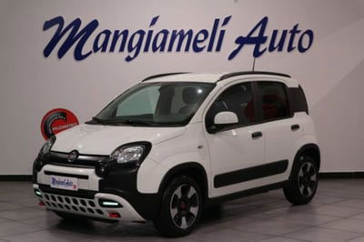 Fiat Panda Cross 1.0 firefly hybrid Cross s&s 70cv 5p.ti usata