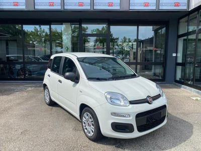 Fiat Panda 1.0 firefly hybrid s&s 70cv 5p.ti usata