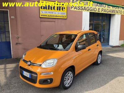 Fiat Panda 1.2 Easy usata
