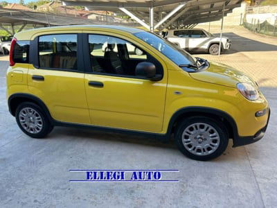 Fiat Panda 1.0 firefly hybrid s&s 70cv 5p.ti nuova