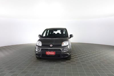 Fiat Panda Cross Cross 1.0 FireFly S&S Hybrid usata