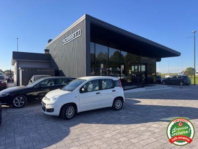 Fiat Panda 1.2 Easy usata