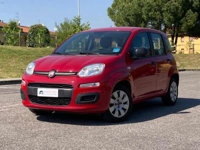 Fiat Panda 1.2 Pop usata