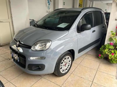 Fiat Panda 1.2 GPL Van Active 2 posti usata