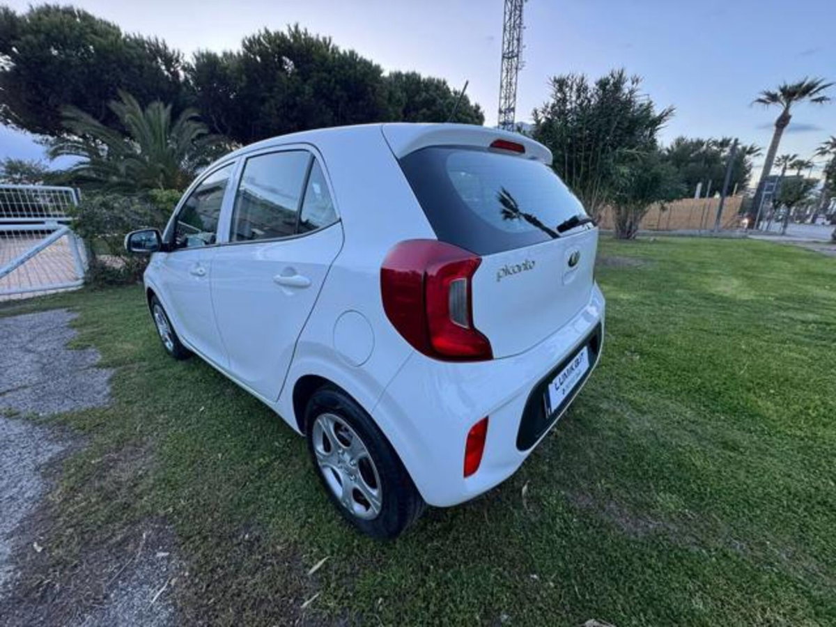 Kia Picanto 1.0 12V 5 porte Active (5)