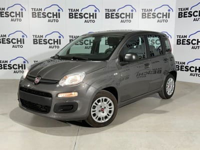 Fiat Panda 1.0 firefly hybrid s&s 70cv 5p.ti usata