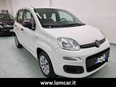 Fiat Panda 1.2 Easy usata