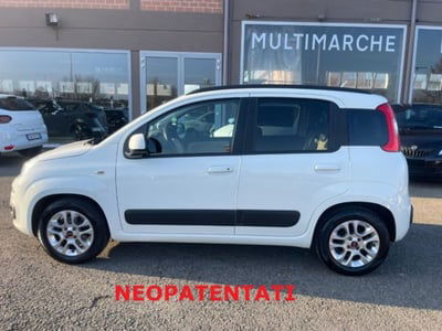 Fiat Panda 1.2 Lounge usata