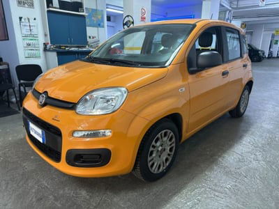 Fiat Panda 1.0 firefly hybrid s&s 70cv usata