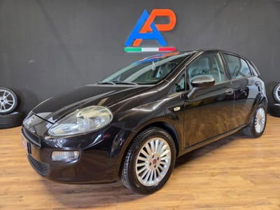 Fiat Punto 1.2 8V 5 porte Lounge usata