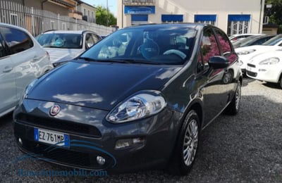 Fiat Punto 1.2 8V 5 porte Street usata