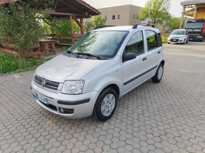 Fiat Panda 1.2 Dynamic usata