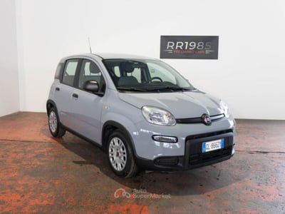 Fiat Panda 1.0 firefly hybrid s&s 70cv 5p.ti usata