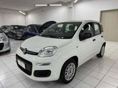 Fiat Panda 1.2 Easy usata