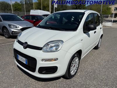 Fiat Panda 1.2 Easy usata