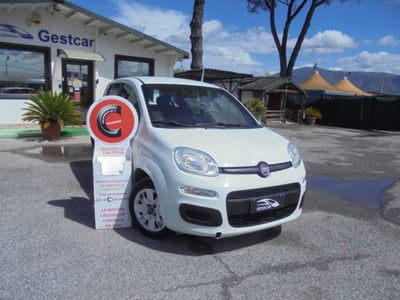 Fiat Panda 1.2 Easy usata