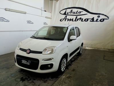 Fiat Panda 1.3 MJT 95 CV S&S Lounge usata
