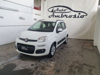 Fiat Panda 1.2 Lounge usata