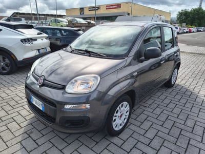 Fiat Panda 1.2 EasyPower Easy usata