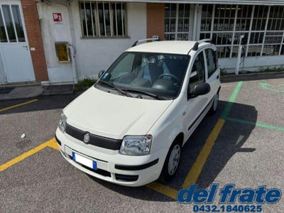 Fiat Panda 1.2 Dynamic usata
