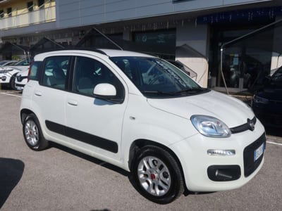 Fiat Panda 1.2 Lounge usata