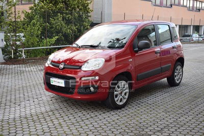 Fiat Panda 0.9 TwinAir Turbo Natural Power Easy usata