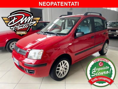 Fiat Panda 1.2 Dynamic usata