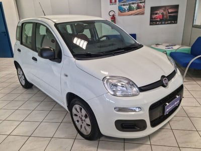Fiat Panda 1.2 Pop usata