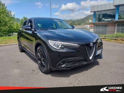 Alfa Romeo Stelvio Stelvio 2.2 Turbodiesel 160 CV AT8 RWD Business usata