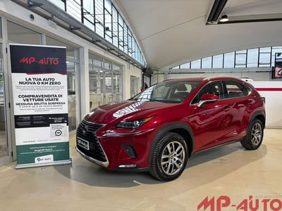 Lexus NX Hybrid 4WD Premium usata