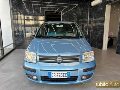 Fiat Panda 1.2 Dynamic usata