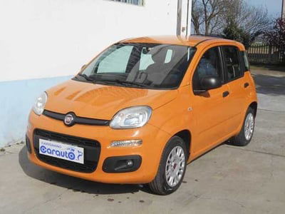 Fiat Panda 1.2 Easy usata