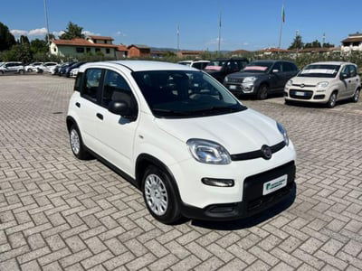 Fiat Panda 1.0 firefly hybrid s&s 70cv 5p.ti usata