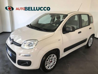 Fiat Panda 1.2 EasyPower Easy usata