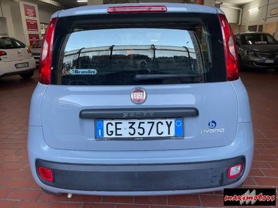 Fiat Panda 1.0 FireFly S&S Hybrid Easy (7)