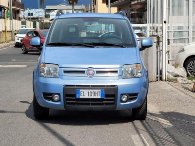 Fiat Panda 1.4 Climbing Natural Power (6)