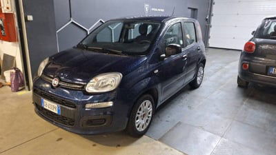 Fiat Panda 1.2 Easy usata