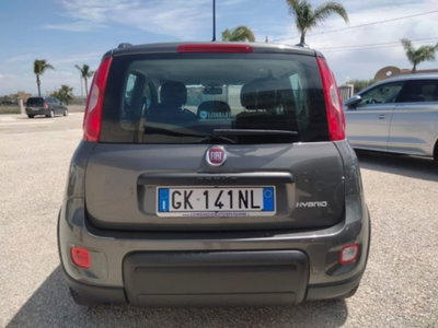 Fiat Panda 1.0 firefly hybrid s&s 70cv 5p.ti (4)