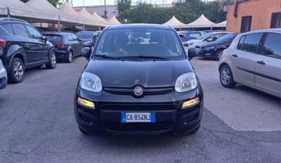 Fiat Panda 1.2 Trussardi usata
