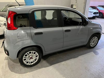 Fiat Panda 1.2 Easy usata