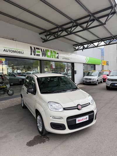 Fiat Panda 1.2 Easy usata