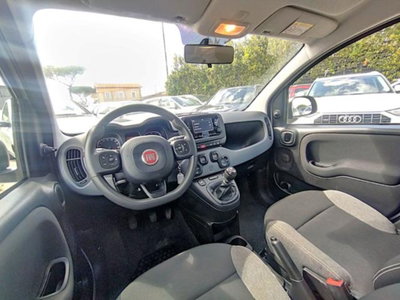 Fiat Panda 1.0 firefly hybrid s&s 70cv 5p.ti (6)
